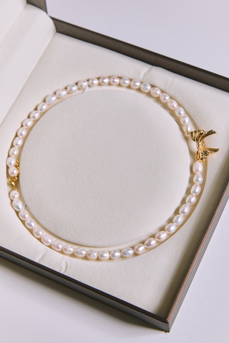 Collar de Perlas de Agua Dulce con Cierre Regalo