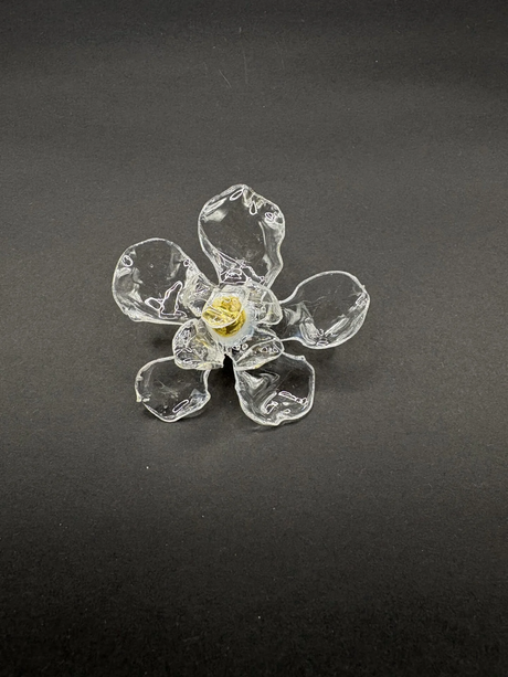 Anillo Caléndula Transparente - Basoie Concept